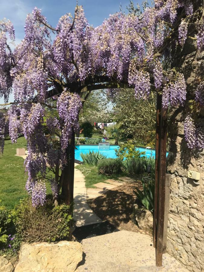 Chambres d'Hôtes La Vallée des Vignes Monthou-sur-Cher Exterior foto